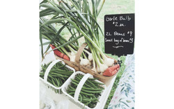 The Marché de Chapeau in L’Isle-aux-Allumettes is part of the Pontiac Land and Flavours Route, serving as a key community hub where local farmers and artisans bring the region’s agricultural richness to life through fresh produce, baked goods, and handcrafted products—all contributing to the Outaouais region’s growing agritourism economy. Photo: Courtesy of MRC Pontiac