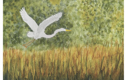 Painting by Peter Levick, participant in the 1st edition of the 2025 Confluences competition. Photo: Courtesy of the Ottawa River Issue Table.