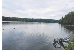 A proposed bill to protect Gatineau Park, including Meech Lake, has sparked debate, with supporters praising its ecological focus and critics arguing it neglects the issue of private property development within the park's boundaries. Photo: Tashi Farmilo